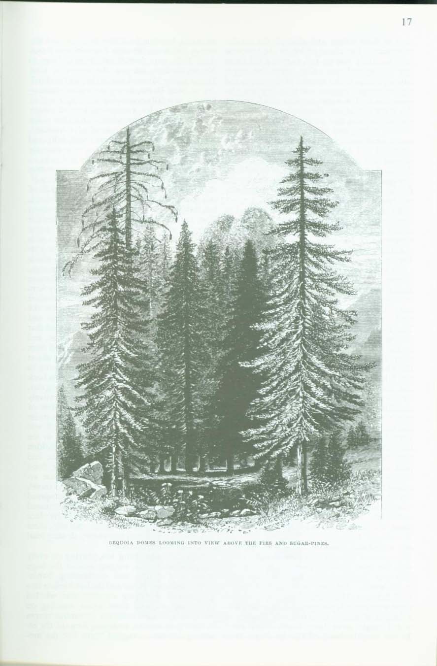 THE PROPOSED YOSEMITE NATIONAL PARK--treasures & features, 1890. vist0003h